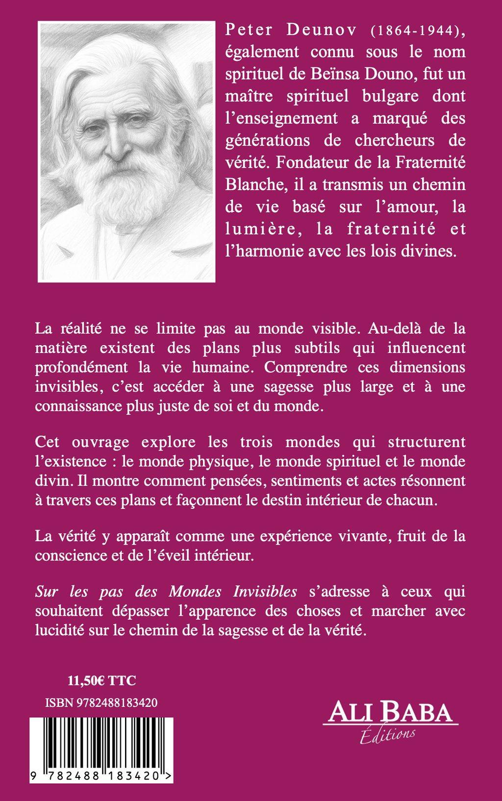 Quatrième de couverture du livre Sur les pas des mondes invisibles