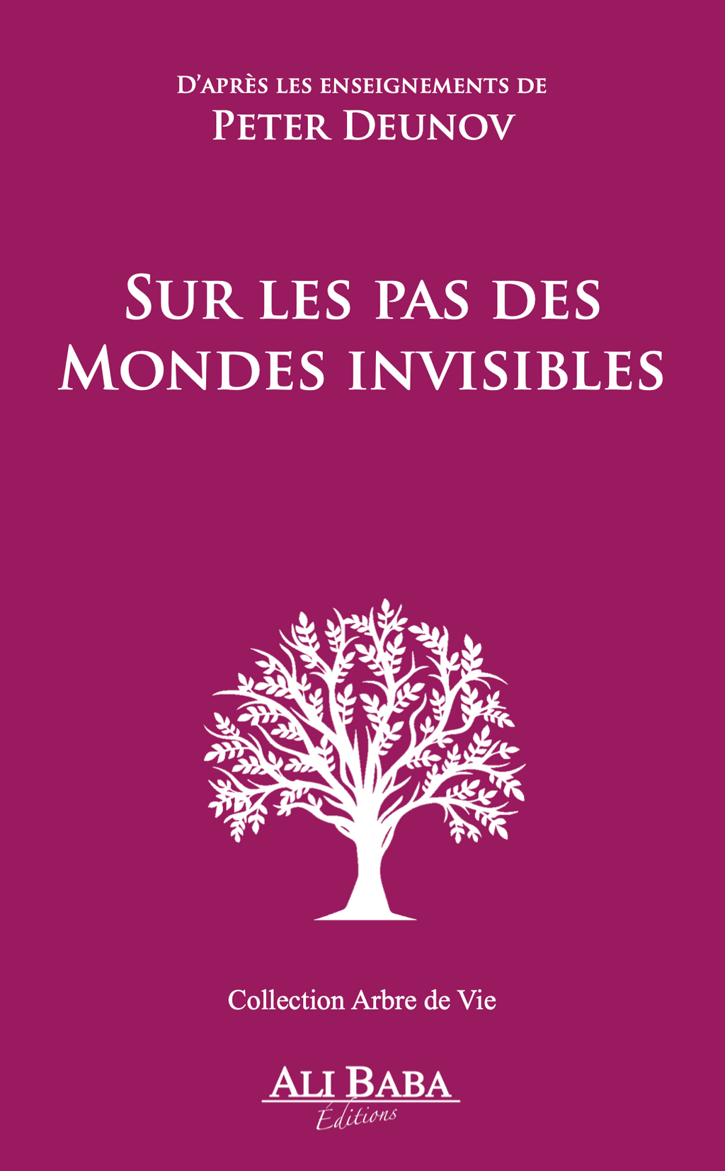 Couverture du livre Sur les pas des mondes invisibles de Peter Deunov