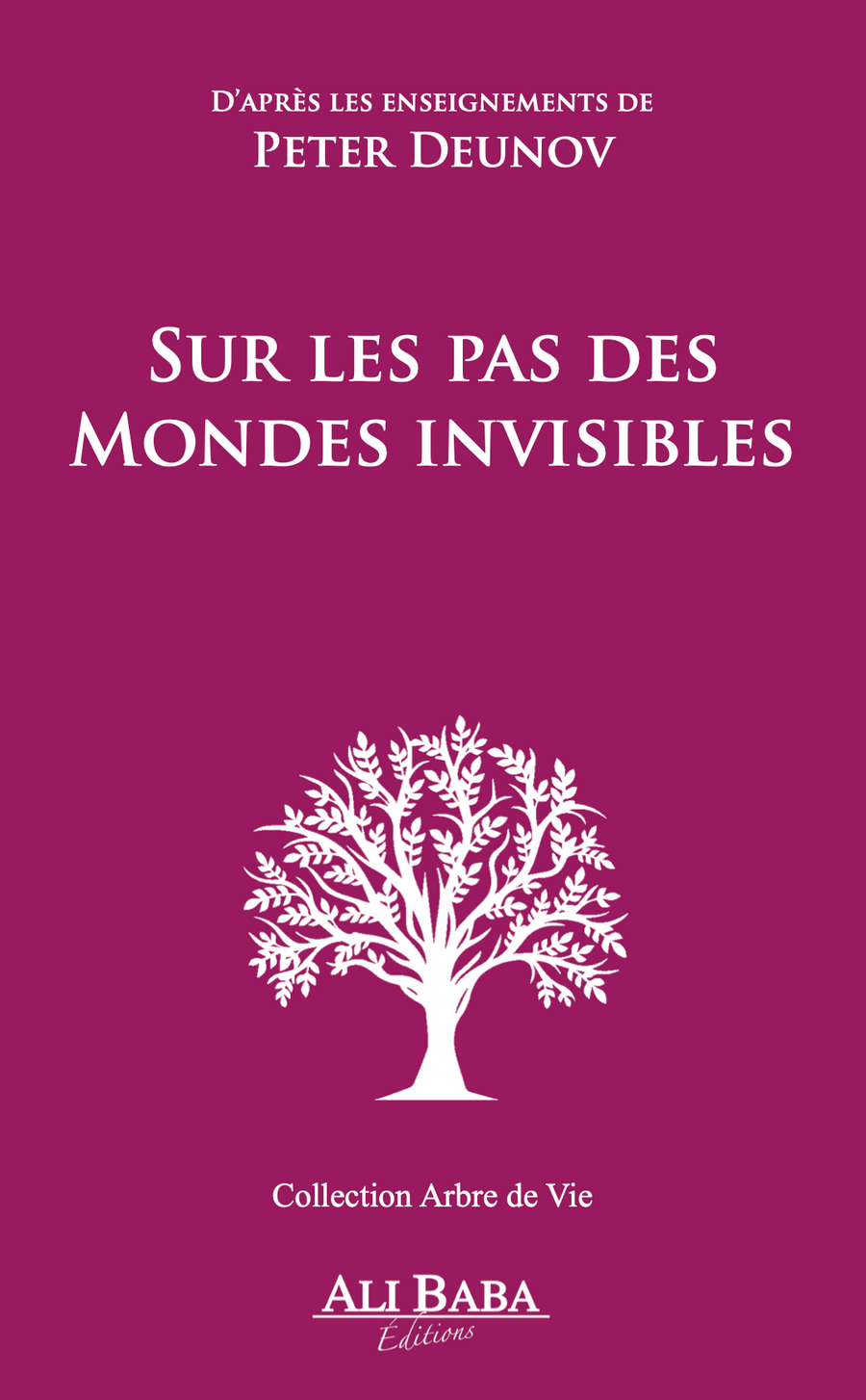 Sur les pas des mondes invisibles