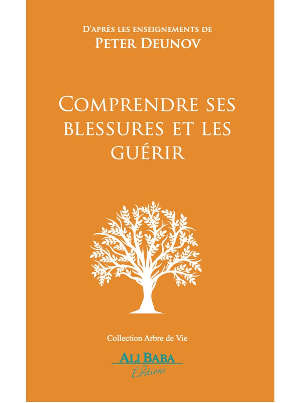 Comprendre ses blessures et les guérir