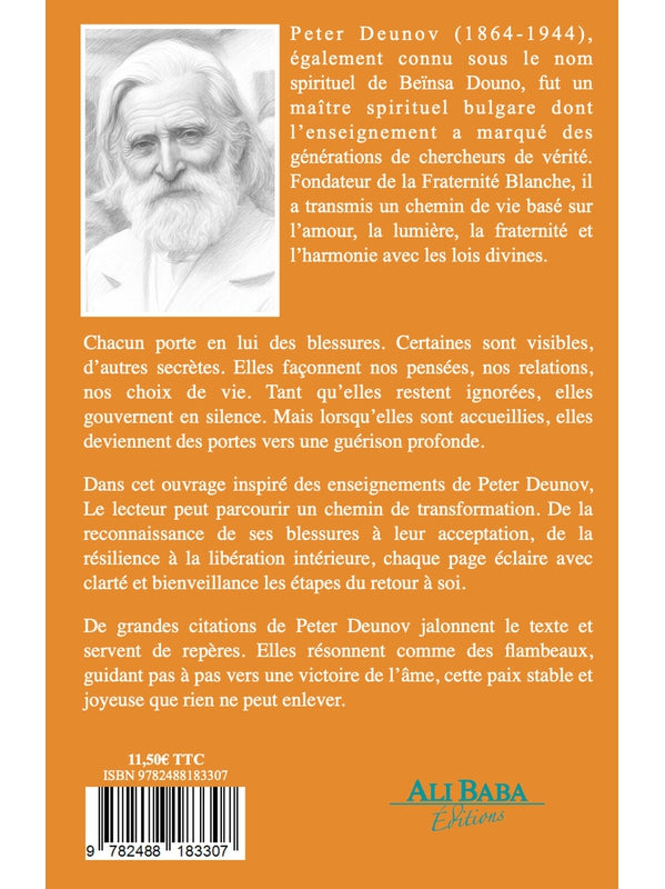 Comprendre ses blessures et les guérir