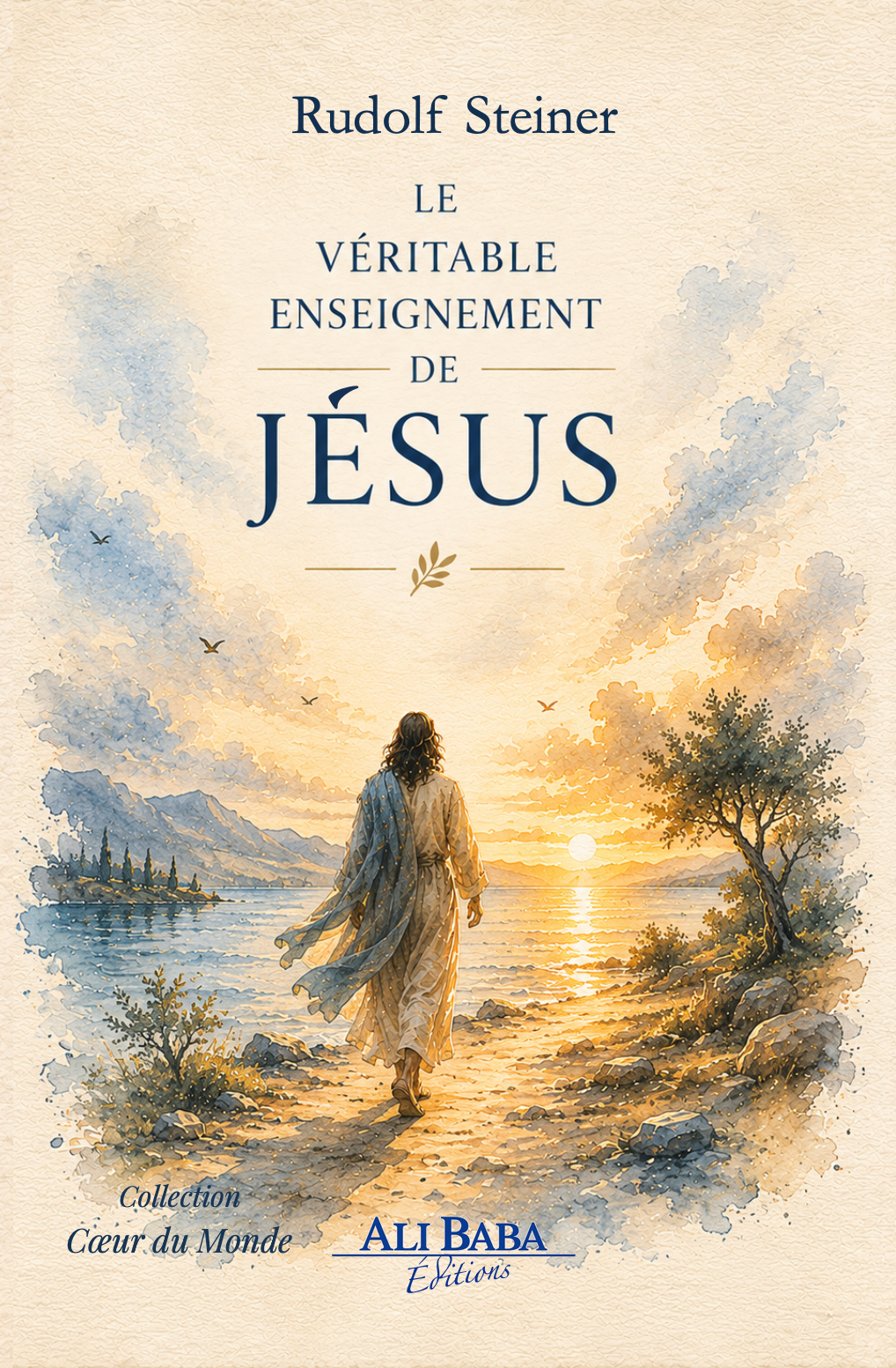 Le véritable enseignement de Jésus de Rudolf Steiner - couverture